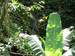 199449_1014381872856_8799_n